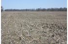 Property photo 6 - 200+/- Acre Land Auction in Gibson County, Indiana